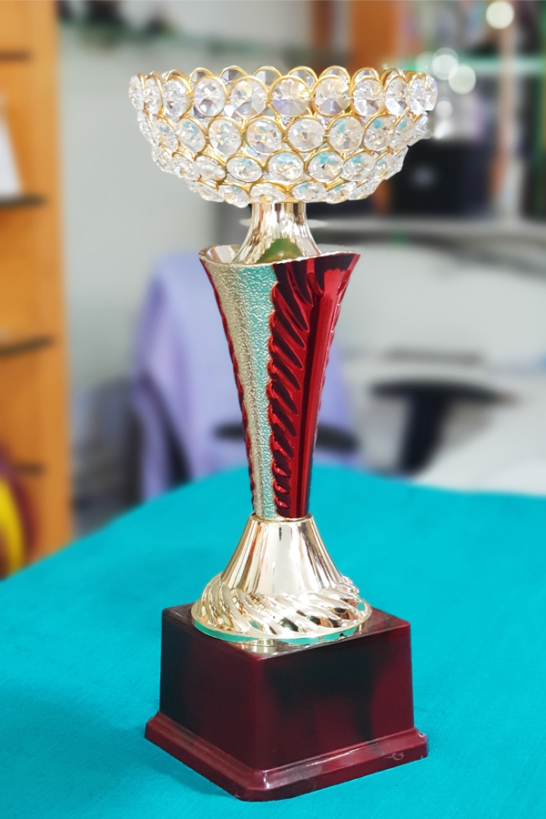 Trophy for Sports Tournaments, Corporate events